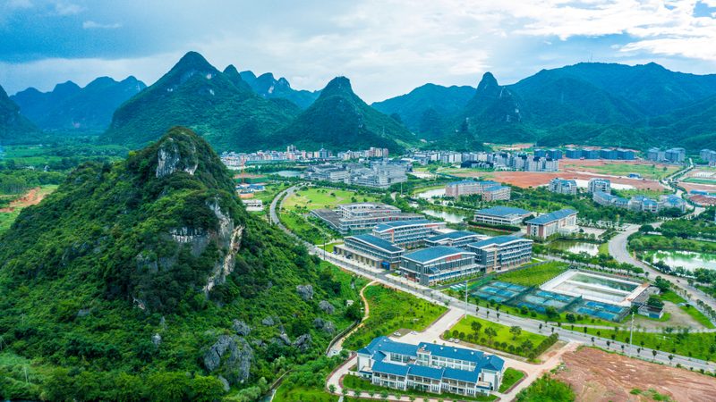 芯片价格波动背后的秘密：影响因素全解析