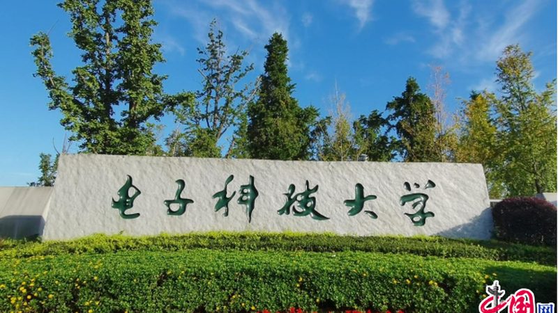 广州线路板定做：揭秘定制化PCB的关键要素